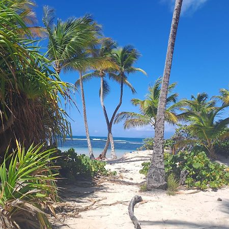 Les Cases Durivage Vfc Sainte-Anne  Bagian luar foto