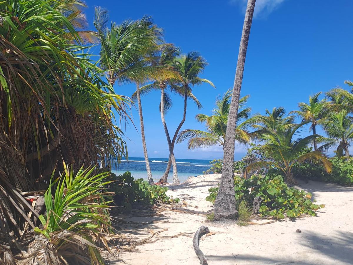 Les Cases Durivage Vfc Sainte-Anne  Bagian luar foto